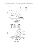 T1R HETERO-OLIGOMERIC TASTE RECEPTORS, CELL LINES THAT EXPRESS SAID     RECEPTORS, AND TASTE COMPOUNDS diagram and image