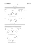 T1R HETERO-OLIGOMERIC TASTE RECEPTORS, CELL LINES THAT EXPRESS SAID     RECEPTORS, AND TASTE COMPOUNDS diagram and image