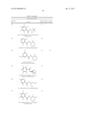 T1R HETERO-OLIGOMERIC TASTE RECEPTORS, CELL LINES THAT EXPRESS SAID     RECEPTORS, AND TASTE COMPOUNDS diagram and image