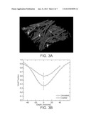 SUPERHYDROPHOBIC COMPOSITIONS diagram and image