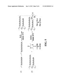 ELASTOMERS CROSSLINKED BY POLYLACTIC ACID diagram and image