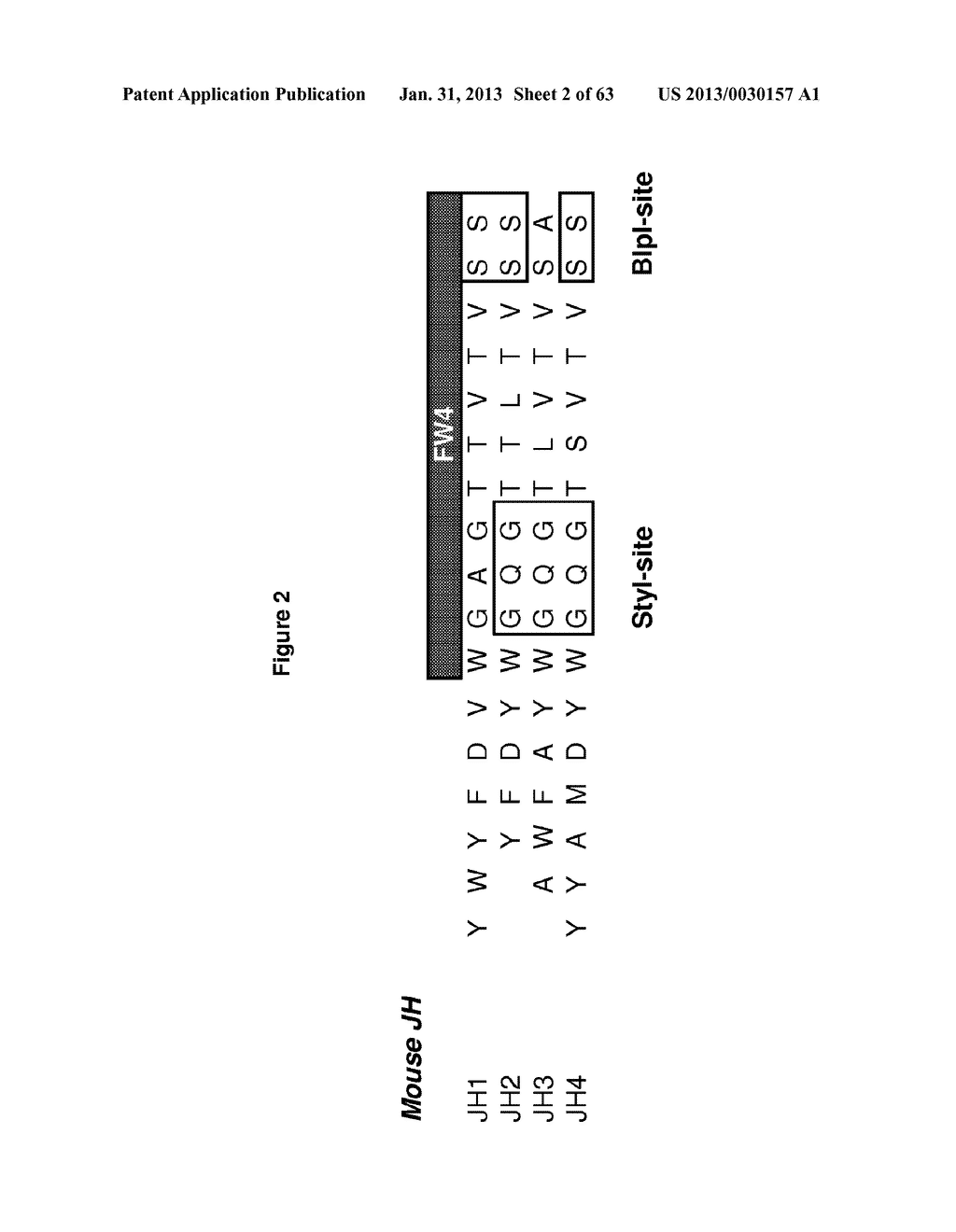 Rodent Combinatorial Antibody Libraries - diagram, schematic, and image 03