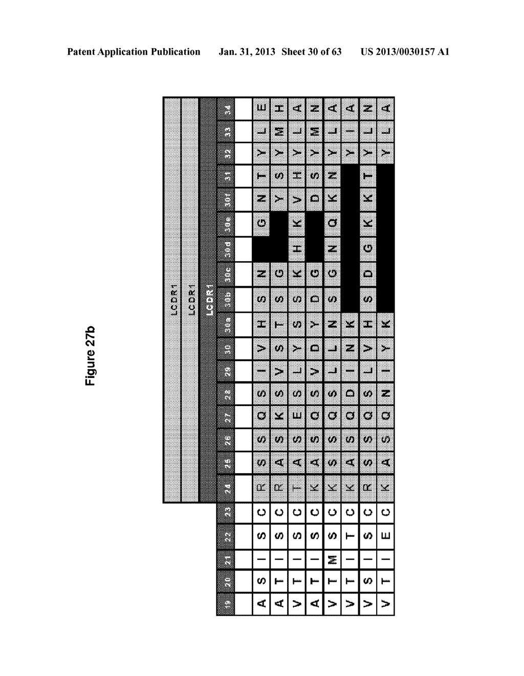 Rodent Combinatorial Antibody Libraries - diagram, schematic, and image 31