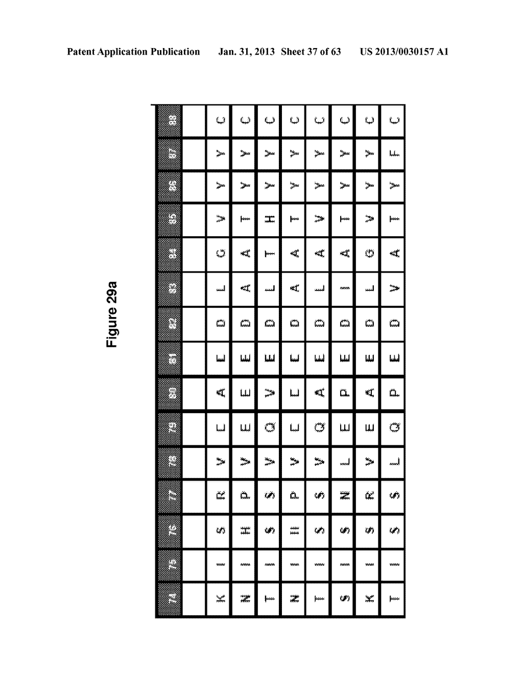 Rodent Combinatorial Antibody Libraries - diagram, schematic, and image 38