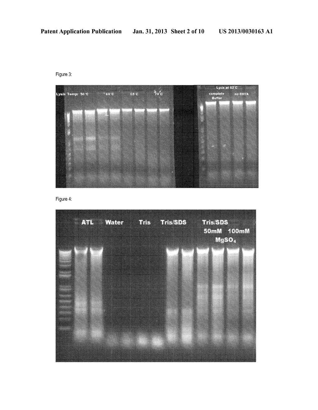 METHOD FOR ISOLATING AND PURIFYING NUCLEIC ACIDS - diagram, schematic, and image 03