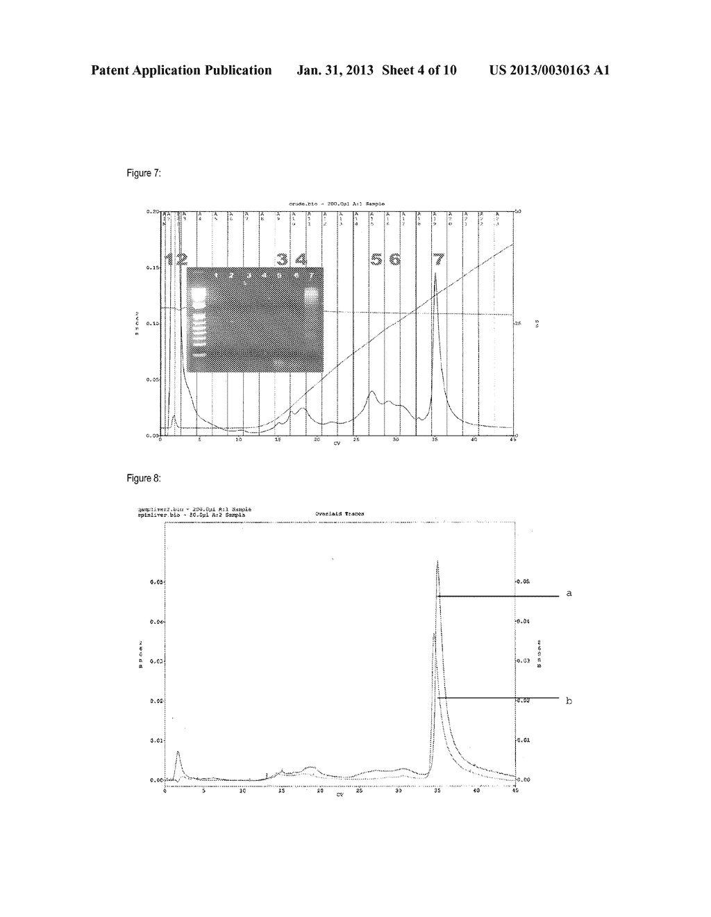 METHOD FOR ISOLATING AND PURIFYING NUCLEIC ACIDS - diagram, schematic, and image 05