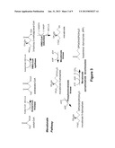 MICROBIAL DERIVED ISOPRENE AND METHODS FOR MAKING THE SAME diagram and image