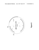 MICROBIAL DERIVED ISOPRENE AND METHODS FOR MAKING THE SAME diagram and image