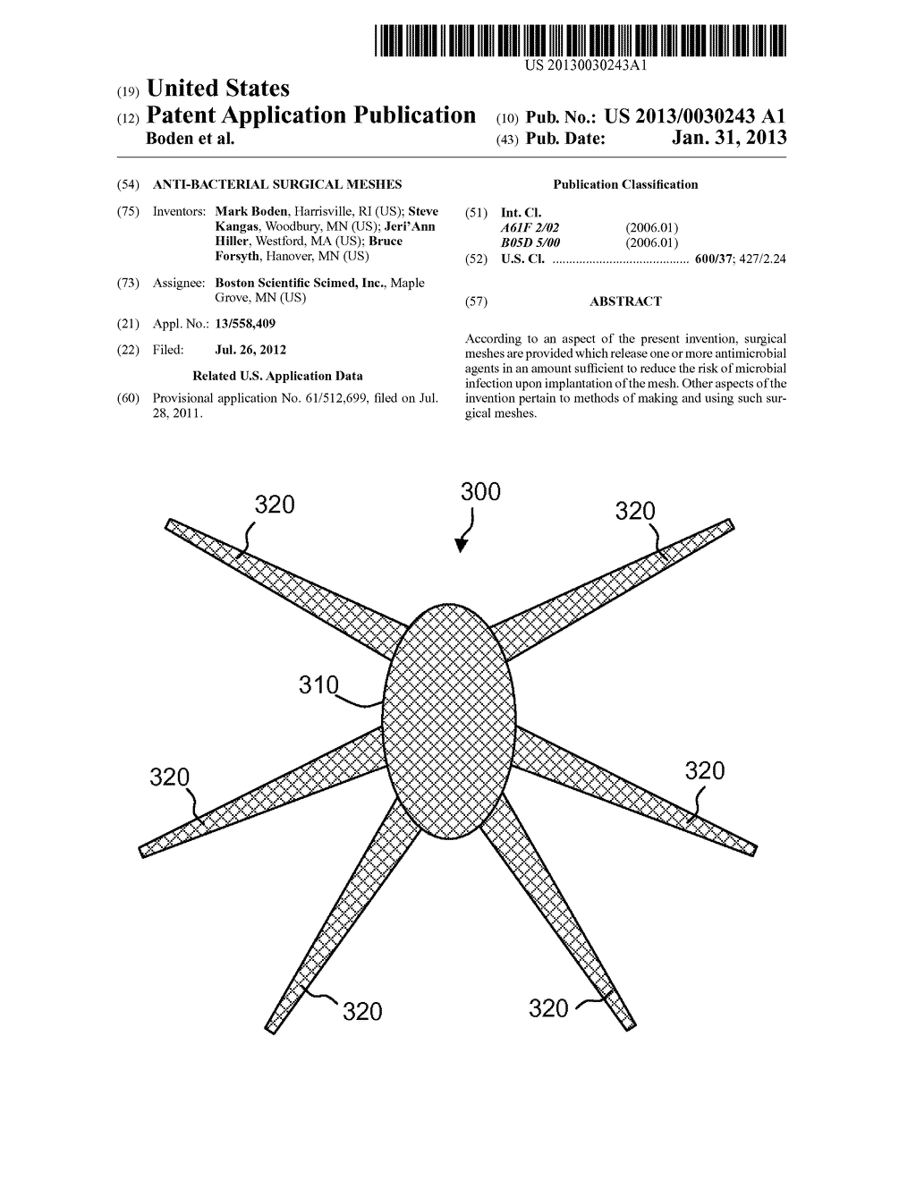 ANTI-BACTERIAL SURGICAL MESHES - diagram, schematic, and image 01