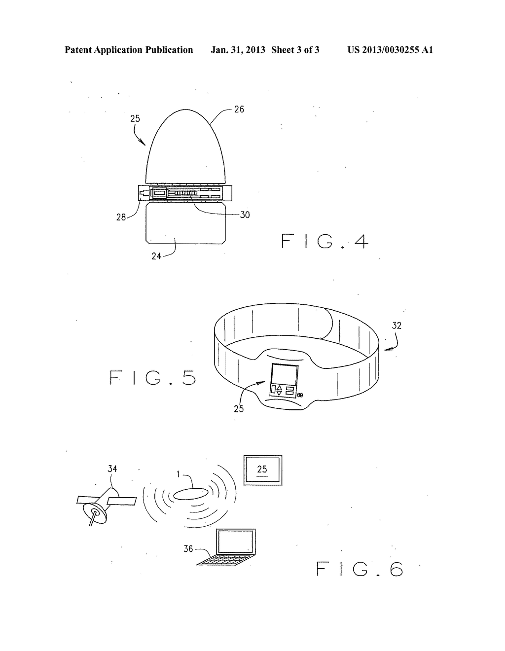 BIOCOMPATIBLE IMPLANT DEVICE - diagram, schematic, and image 04