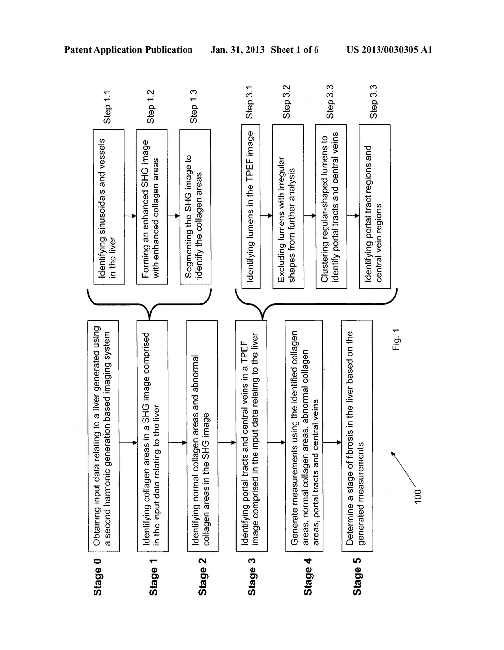 METHOD AND SYSTEM FOR DETERMINING A STAGE OF FIBROSIS IN A LIVER - diagram, schematic, and image 02