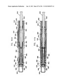 AUTOMATIC INJECTION DEVICE diagram and image