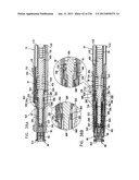 AUTOMATIC INJECTION DEVICE diagram and image