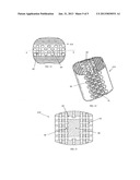 Radiolucent Spinal Fusion Cage diagram and image