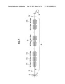 ROLLED MATERIAL COOLING CONTROL APPARATUS, ROLLED MATERIAL COOLING CONTROL     METHOD, AND ROLLED MATERIAL COOLING CONTROL PROGRAM diagram and image