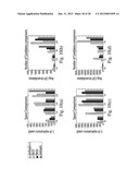 METHOD AND SYSTEM FOR FAST SIMILARITY COMPUTATION IN HIGH DIMENSIONAL     SPACE diagram and image