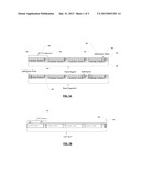 BACKEND ORGANIZATION OF STORED DATA diagram and image