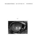 MODEL SYSTEM OF ACANTHAMOEBA KERATITIS SYNDROME AND METHOD FOR SELECTING A     TREATMENT THEREOF diagram and image