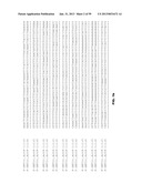 PLANT REGULATORY ELEMENTS AND USES THEREOF diagram and image