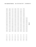 PLANT REGULATORY ELEMENTS AND USES THEREOF diagram and image