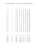 PLANT REGULATORY ELEMENTS AND USES THEREOF diagram and image