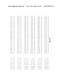 PLANT REGULATORY ELEMENTS AND USES THEREOF diagram and image