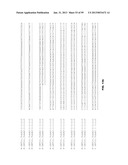 PLANT REGULATORY ELEMENTS AND USES THEREOF diagram and image