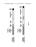 PLANT REGULATORY ELEMENTS AND USES THEREOF diagram and image