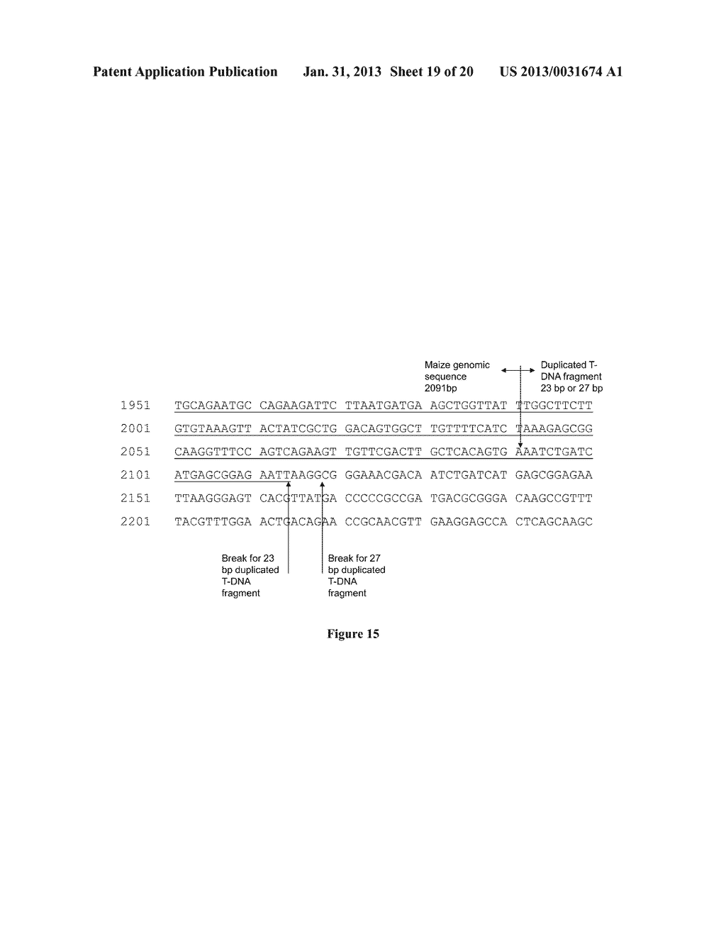 PLANT GENOMIC DNA FLANKING SPT EVENT AND METHODS OF IDENTIFYING SPT EVENT - diagram, schematic, and image 20