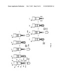 BIOLOGICAL MATERIAL FIXED CARRIER ENCLOSING TIP, BIOLOGICAL MATERIAL FIXED     CARRIER TREATMENT APPARATUS, AND TREATMENT METHOD THEREOF diagram and image