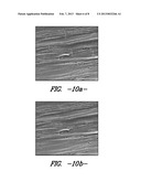 RUBBER REINFORCED ARTICLE WITH VOIDED FIBERS diagram and image