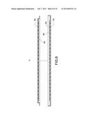 VAPOR CHAMBER CAPILLARY FORMATION METHOD AND STRUCTURE THEREOF diagram and image