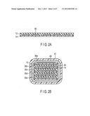 FLEXIBLE WIRING MODULE AND FLEXIBLE WIRING DEVICE diagram and image