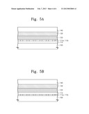 ORGANIC LIGHT EMITTING DEVICES diagram and image