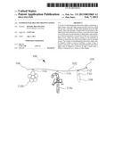 Interchangeable Decorative Lights diagram and image