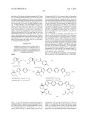 Hepatitis C Virus Inhibitors diagram and image