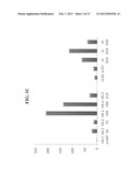 POPULATIONS OF PANCREATIC PROGENITOR CELLS AND METHODS OF ISOLATING AND     USING SAME diagram and image