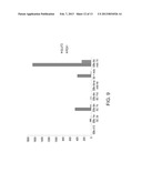 POPULATIONS OF PANCREATIC PROGENITOR CELLS AND METHODS OF ISOLATING AND     USING SAME diagram and image