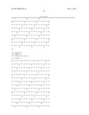 POPULATIONS OF PANCREATIC PROGENITOR CELLS AND METHODS OF ISOLATING AND     USING SAME diagram and image