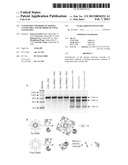 NANOZYMES, METHODS OF MAKING NANOZYMES, AND METHODS OF USING NANOZYMES diagram and image