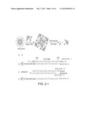 NANOZYMES, METHODS OF MAKING NANOZYMES, AND METHODS OF USING NANOZYMES diagram and image