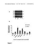 SR-BI AS A PREDICTOR OF HUMAN FEMALE INFERTILITY AND RESPONSIVENESS TO     TREATMENT diagram and image