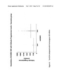 SR-BI AS A PREDICTOR OF HUMAN FEMALE INFERTILITY AND RESPONSIVENESS TO     TREATMENT diagram and image