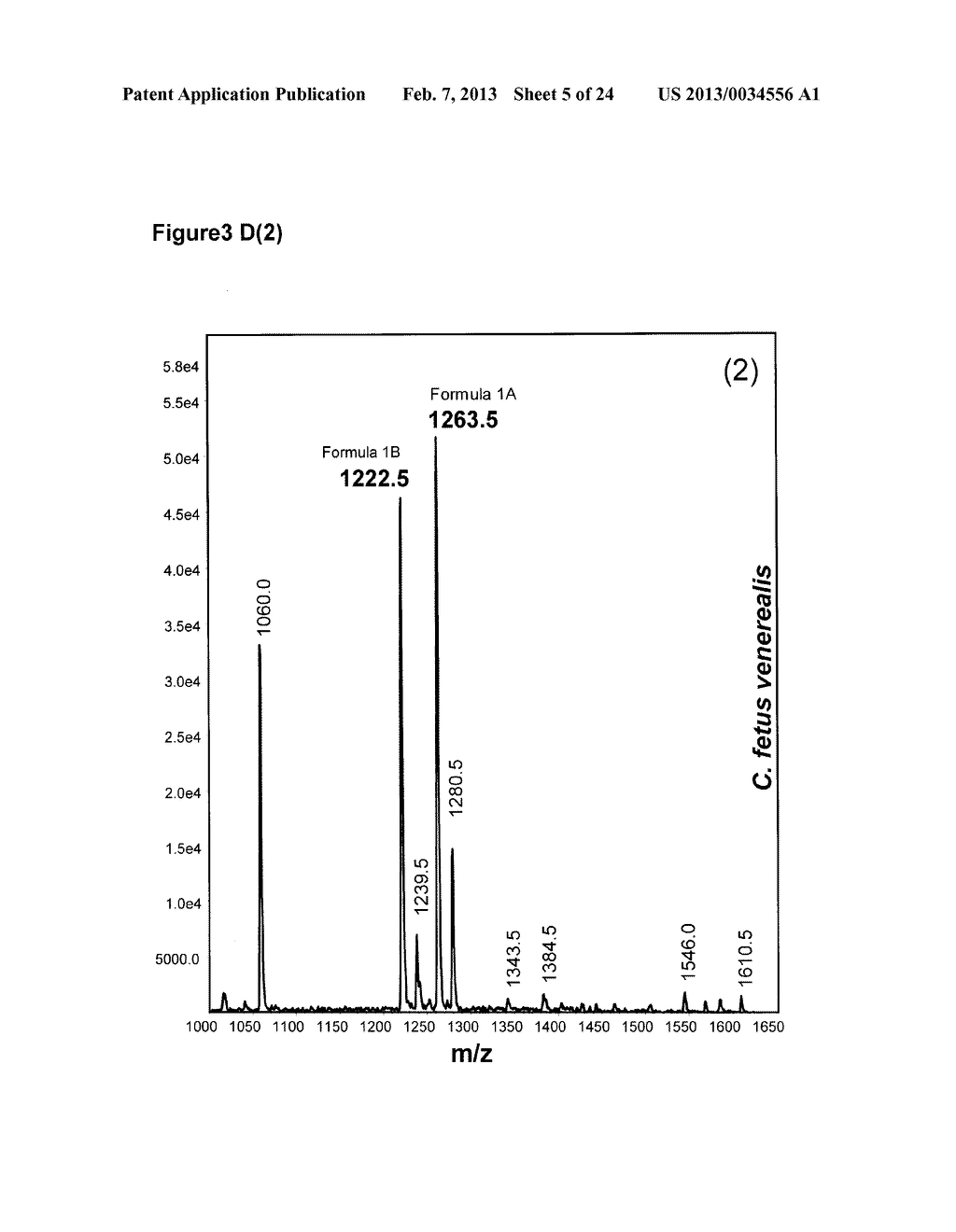 FREE HEXASACCHARIDE ISOLATED FROM SEVERAL CAMPYLOBACTER SPECIES - diagram, schematic, and image 06