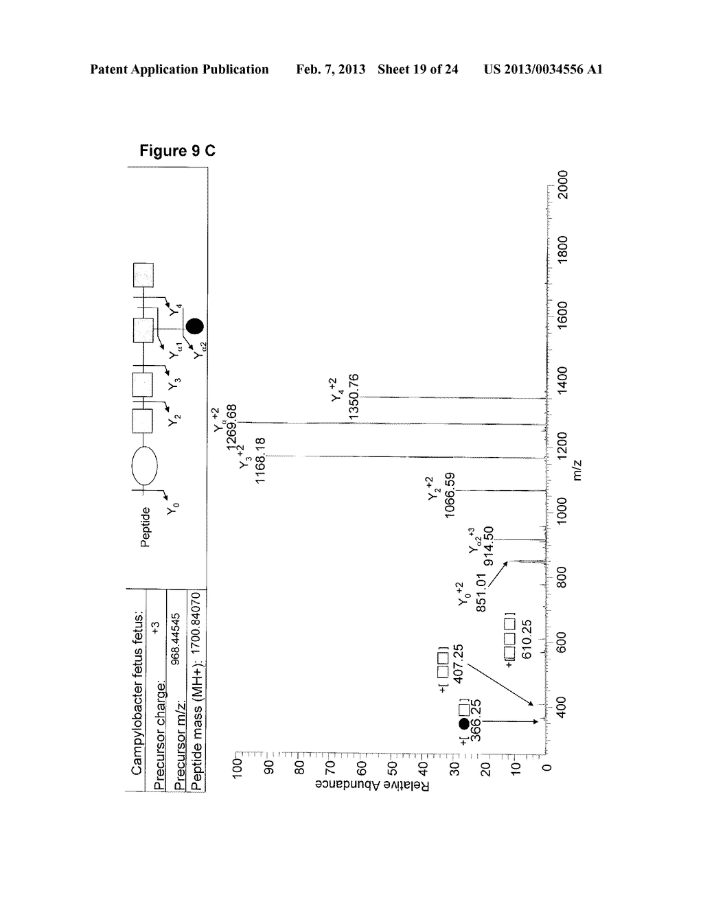 FREE HEXASACCHARIDE ISOLATED FROM SEVERAL CAMPYLOBACTER SPECIES - diagram, schematic, and image 20