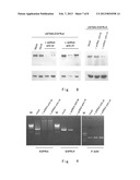 EPIDERMAL GROWTH FACTOR RECEPTOR VARIANT diagram and image