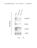 EPIDERMAL GROWTH FACTOR RECEPTOR VARIANT diagram and image