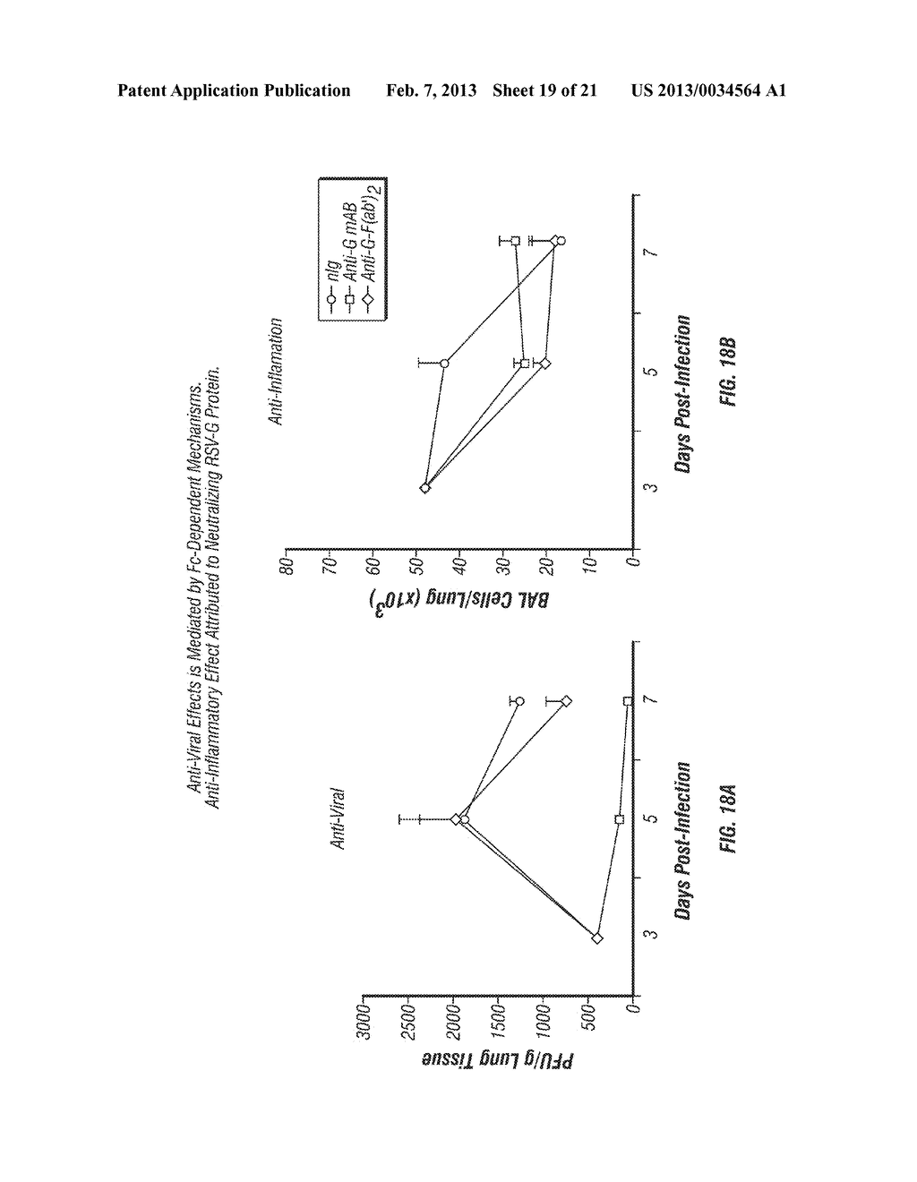 ANTI-RSV G PROTEIN ANTIBODIES - diagram, schematic, and image 20