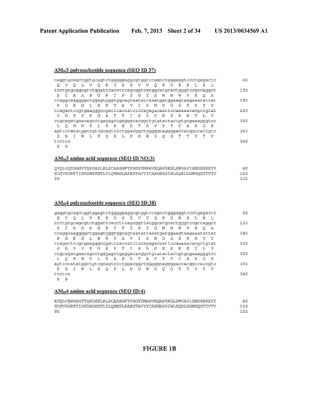 IL-18 RECEPTOR ANTIGEN BINDING PROTEINS - diagram, schematic, and image 03