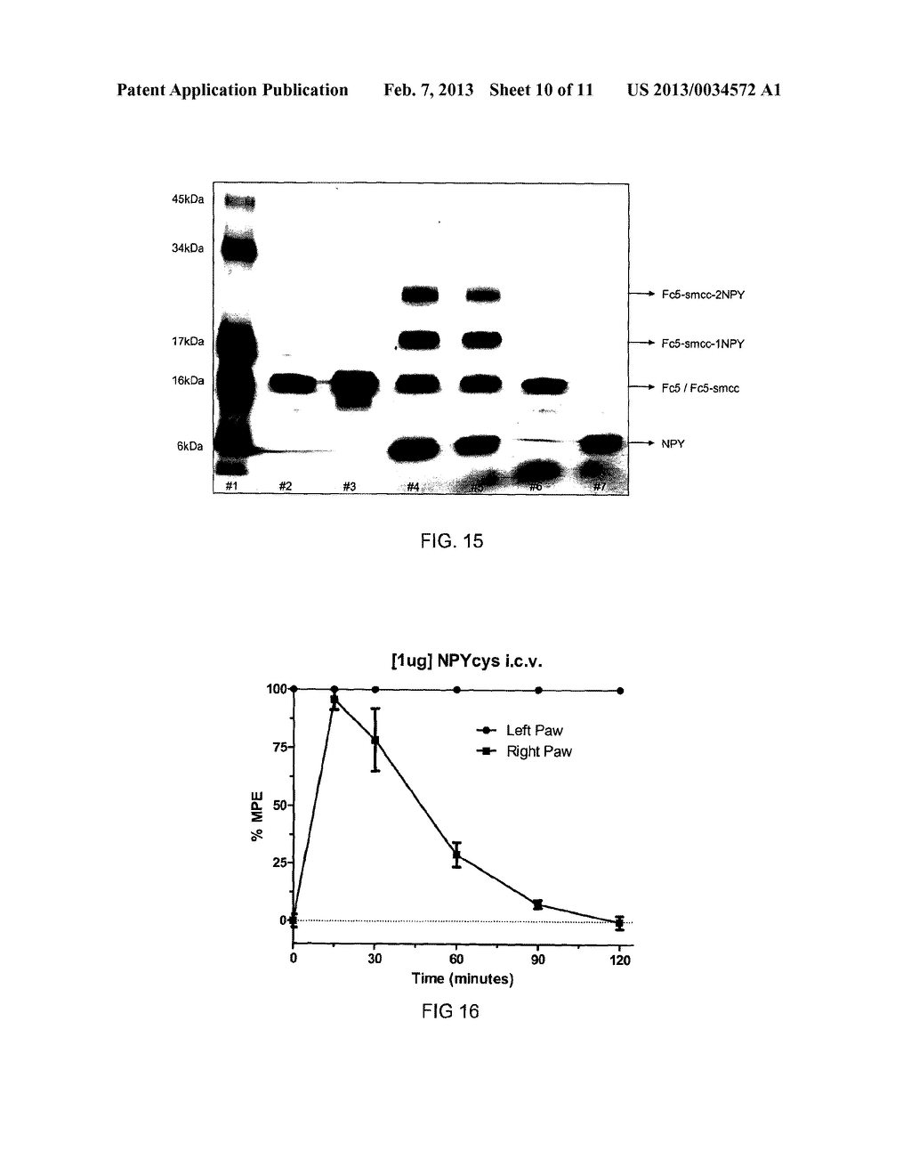 COMPOSITIONS AND METHODS FOR BRAIN DELIVERY OF ANALGESIC PEPTIDES - diagram, schematic, and image 11